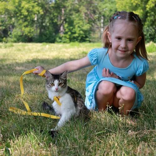 Photo #12797115