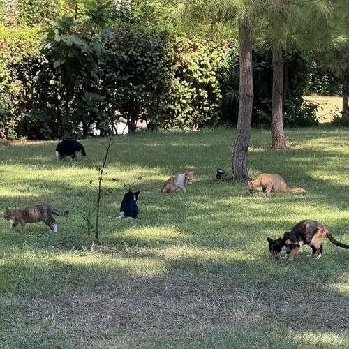Photo #12797297