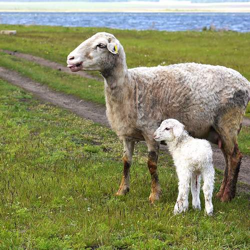 Photo #12797377