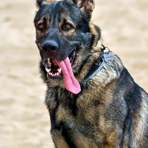 Photo #12797477