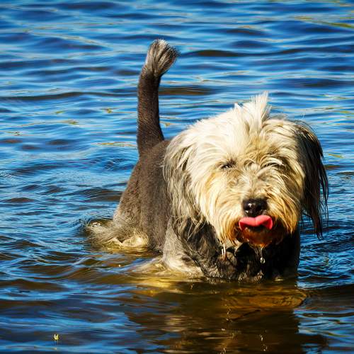Photo #12797481