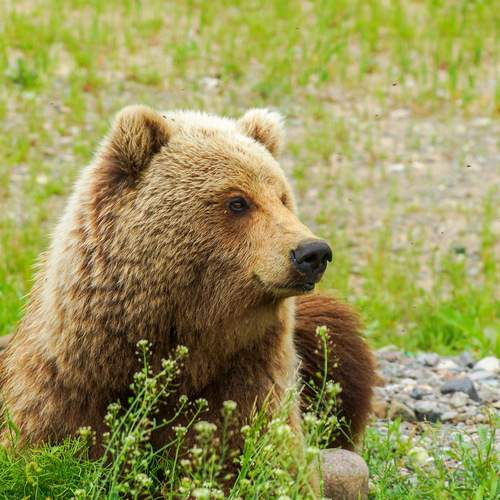 Photo #12797495