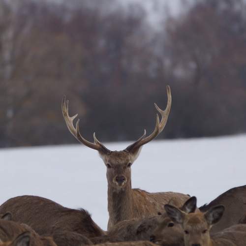 Photo #12797506