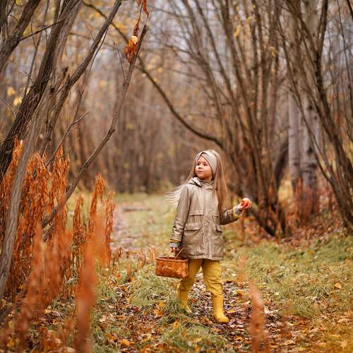 Photo #12797523