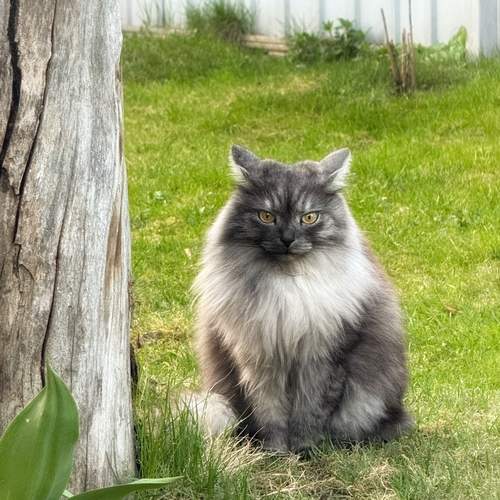 Photo #12797574