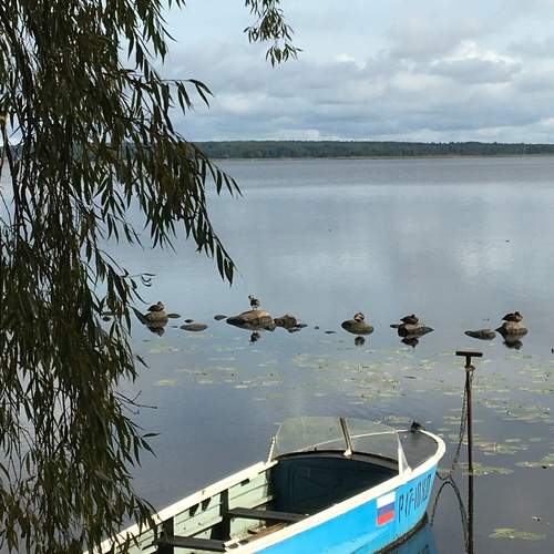 Photo #12797590