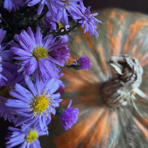 Photo #12797599