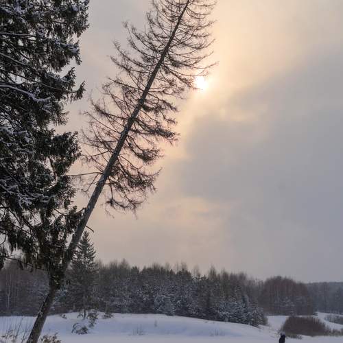 Photo #12797674
