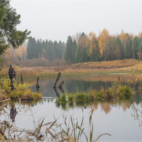 Photo #12797730