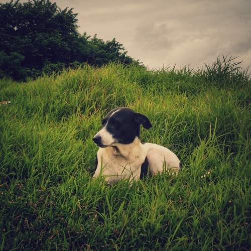 Photo #12797763