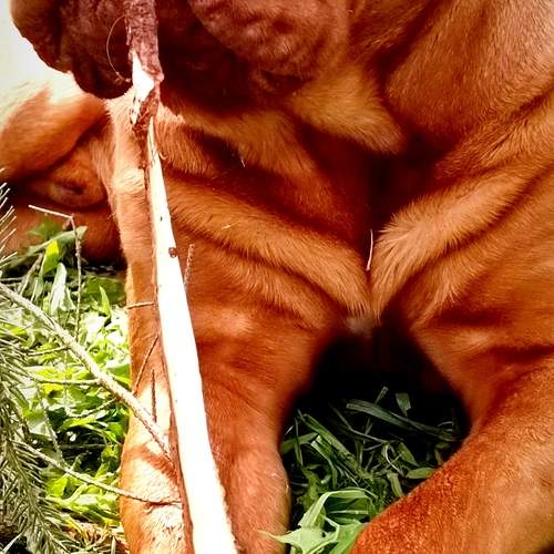 Photo #12797900