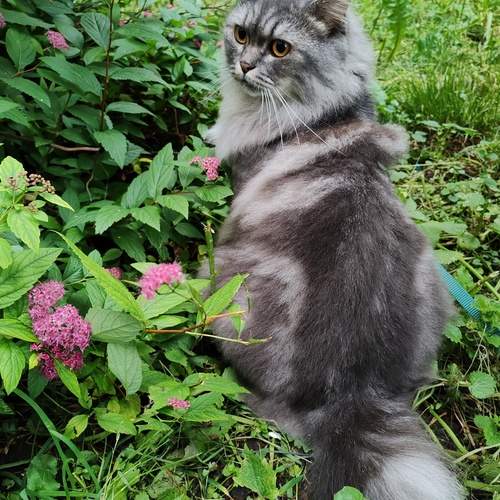 Photo #12797994