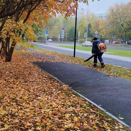 Photo #12798012