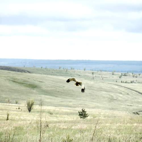 Photo #12798183
