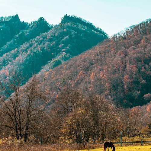 Photo #12798274