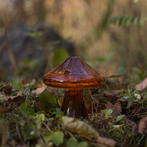 Photo #12798284
