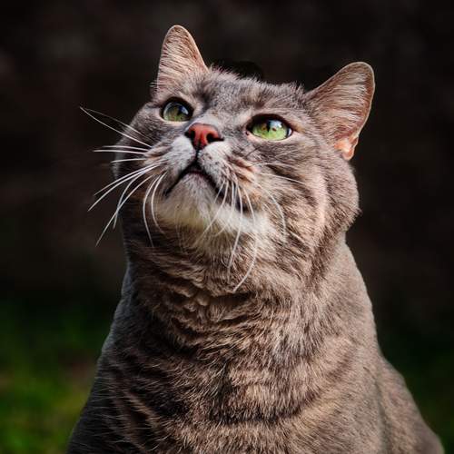 Photo #12798344