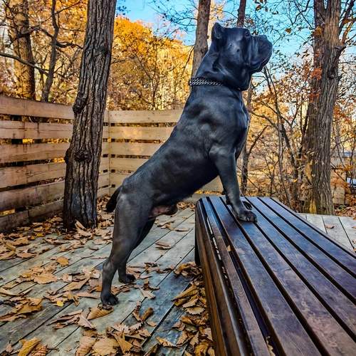 Photo #12798406