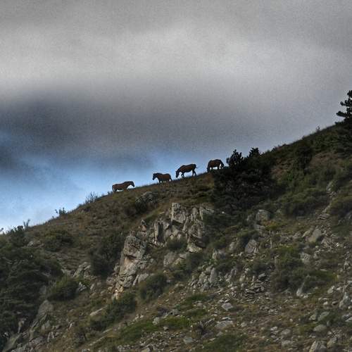 Photo #12798480