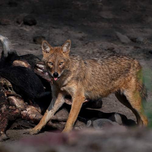 Photo #12798634