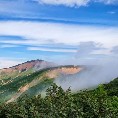 Photo #12798906
