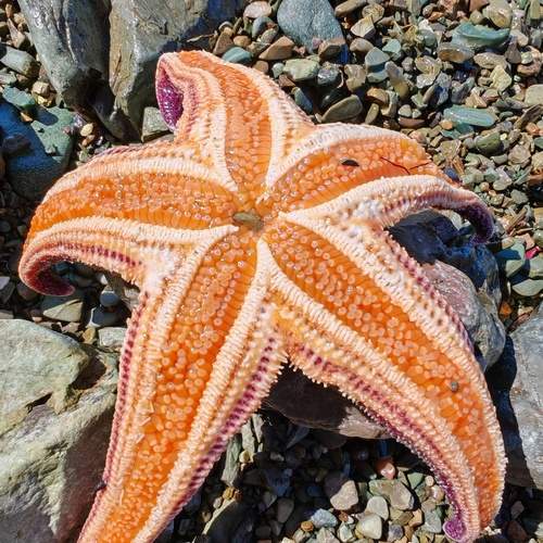 Photo #12798956