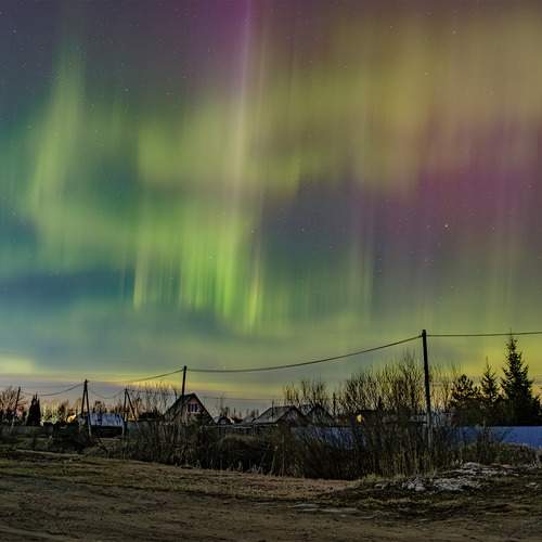 Photo #12798996