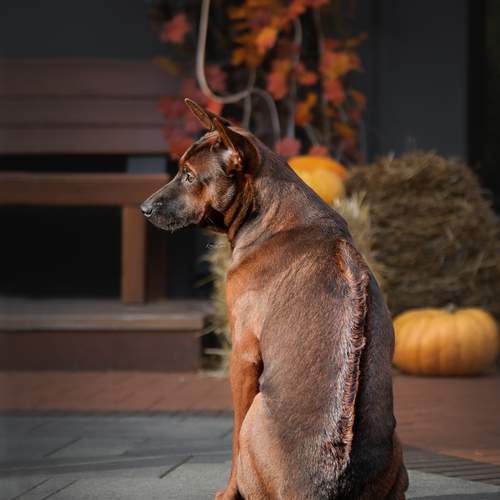 Photo #12799112