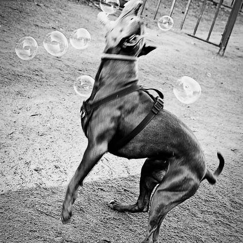 Фотография #12799355