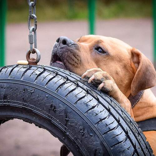 Фотография #12799358