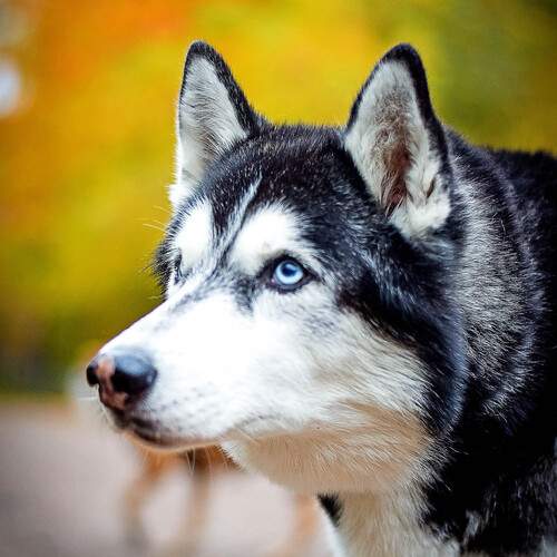 Фотография #12799359