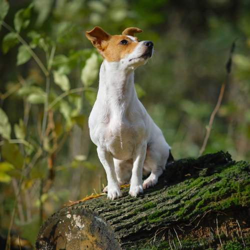 Photo #12799642