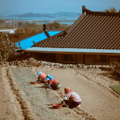Photo #12799769