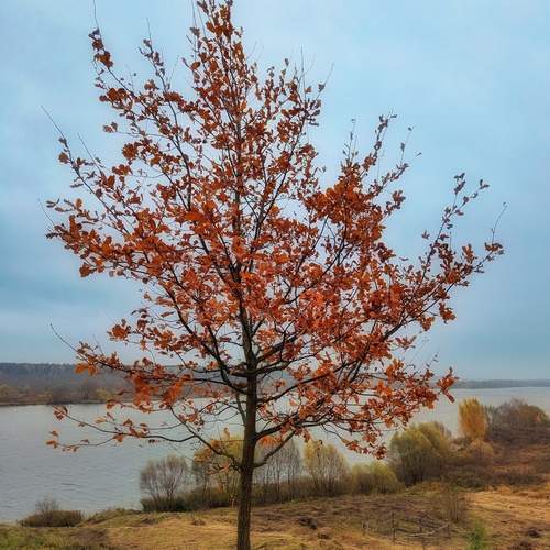 Photo #12799770