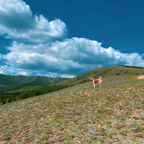 Photo #12799891