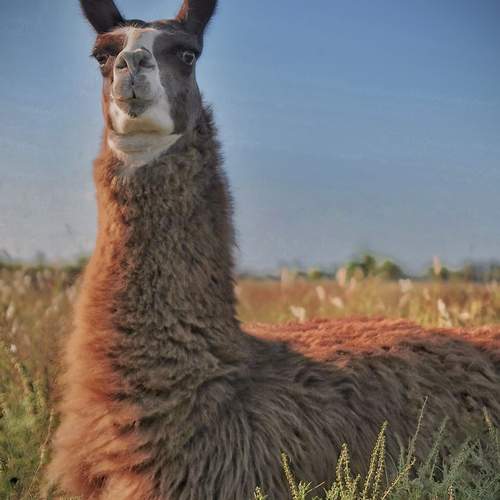 Photo #12799897