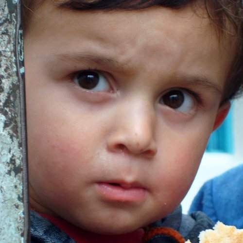 Photo #1282741