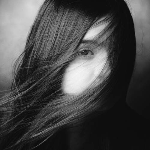 Фотография #12800261