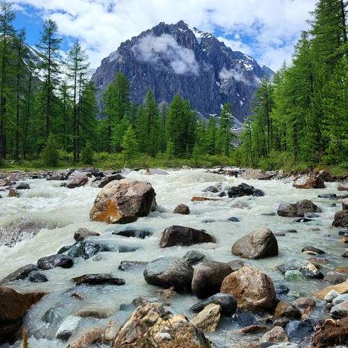 Photo #12800473