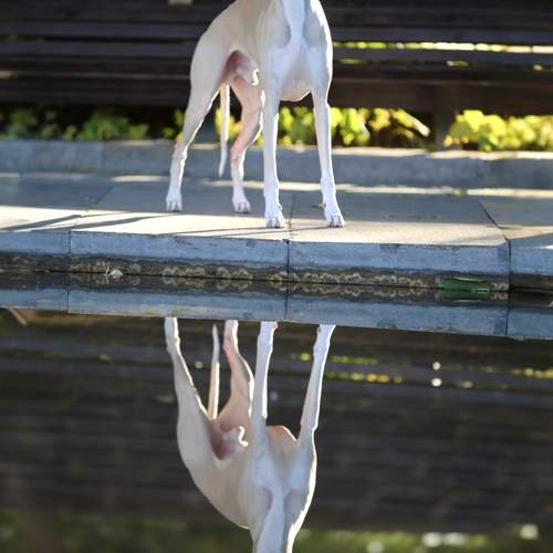 Photo #12800698
