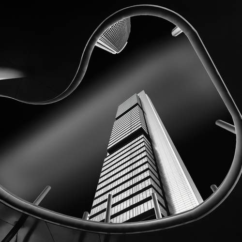 Фотография #12800862