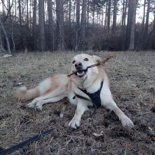 Photo #12800873