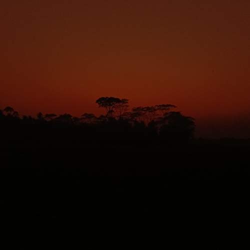 Photo #12800906