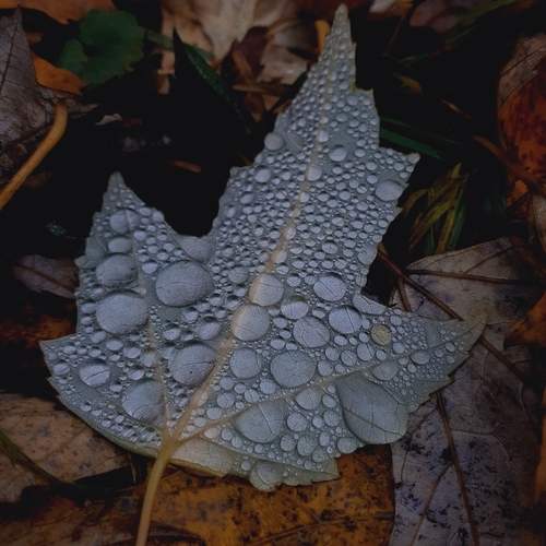 Photo #12801021