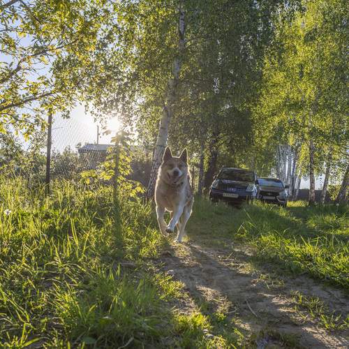 Photo #12801662