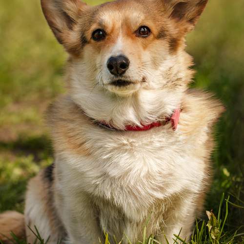 Фотография #12801680