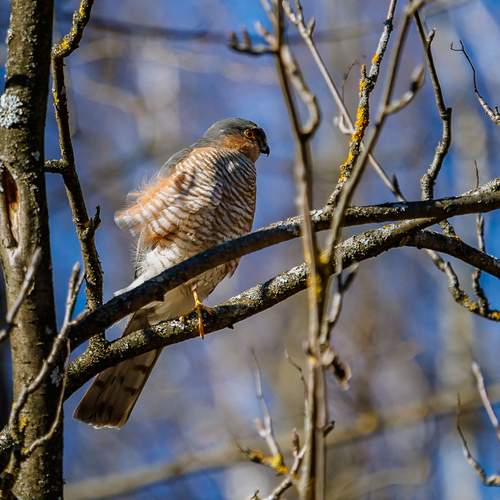 Фотография #12801753