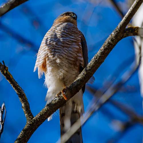 Фотография #12801754