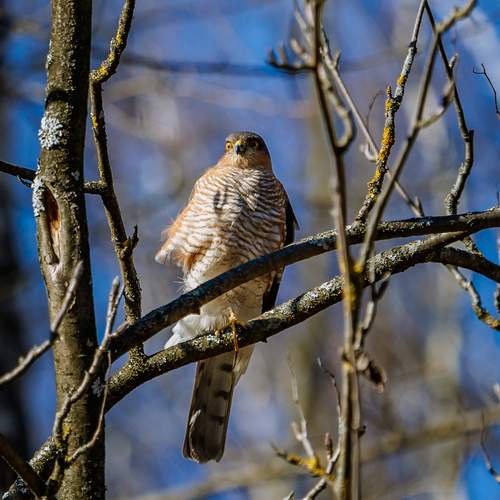 Фотография #12801755