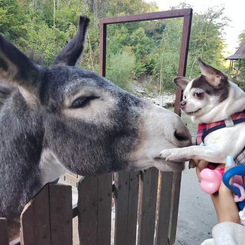Photo #12801761
